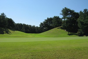 HOLE 11