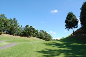 HOLE 15