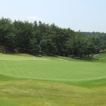 HOLE 6