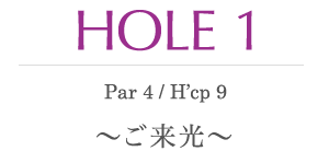 HOLE 1