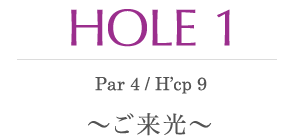 HOLE 1