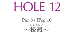 HOLE 12