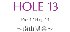 HOLE 13