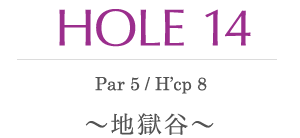 HOLE 14