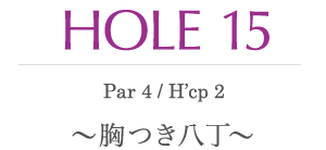 HOLE 15