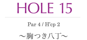 HOLE 15