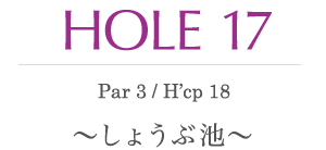 HOLE 17