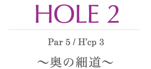 HOLE 2