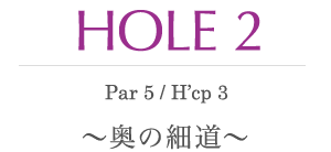 HOLE 2