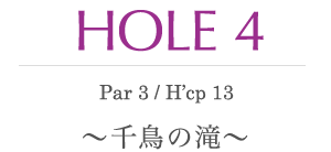 HOLE 4