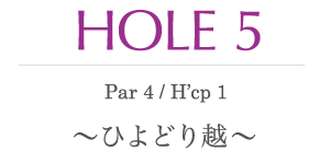 HOLE 5