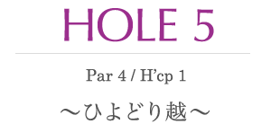 HOLE 5