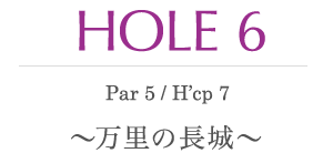 HOLE 6