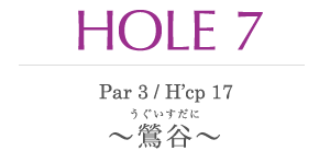 HOLE 7