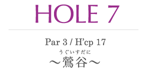 HOLE 7