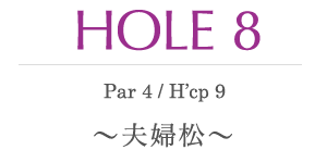 HOLE 8