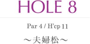 hole8