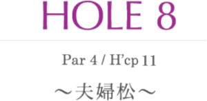 hole8